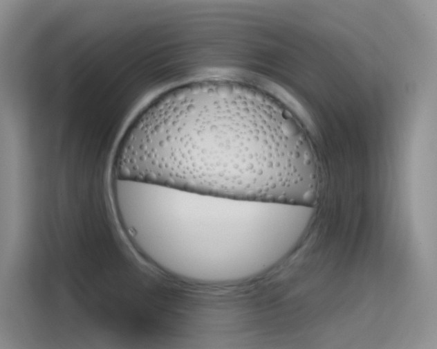 X0000114731283200910211055