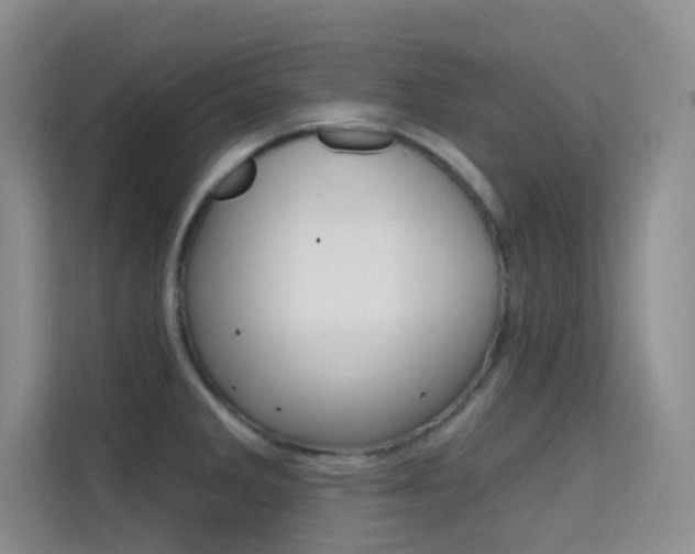 X0000114731285200910211055