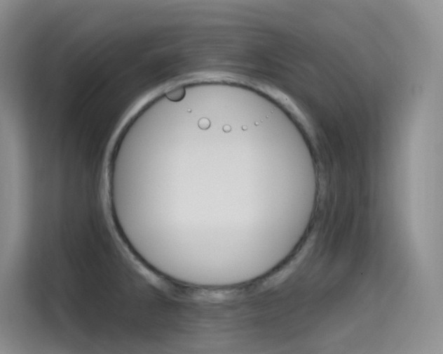 X0000114731286200910211055