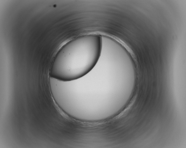 X0000114731289200910211055