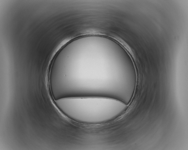 X0000114731293200910211055