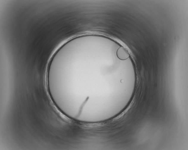 X0000114731294200910211055