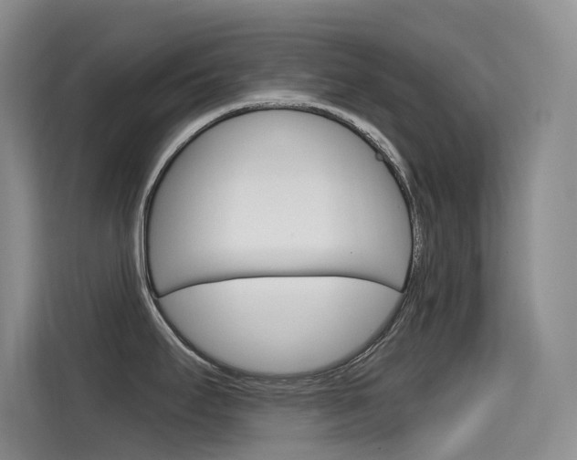 X0000114731295200910211055