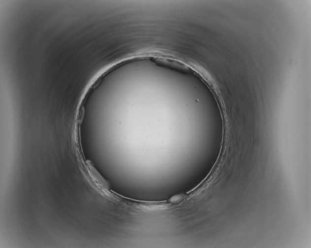 X0000114731296200910211055