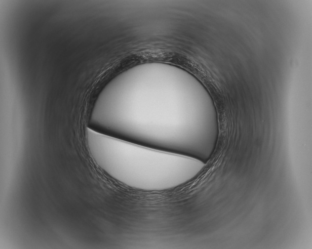 X0000114731297200910211054