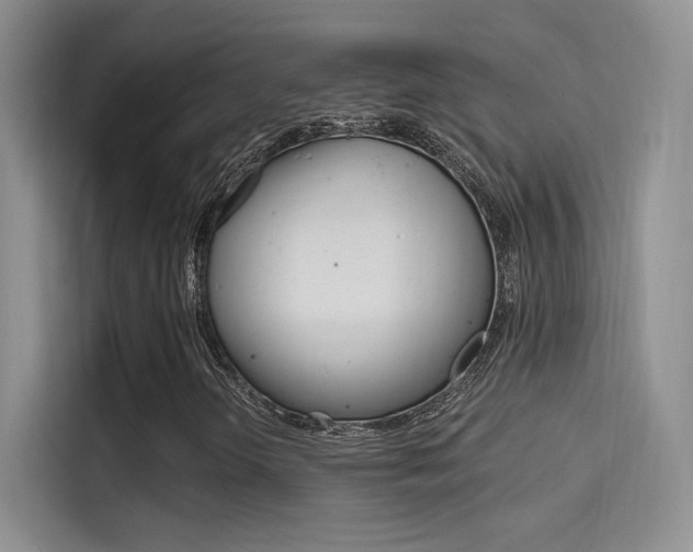 X0000114731298200910211054