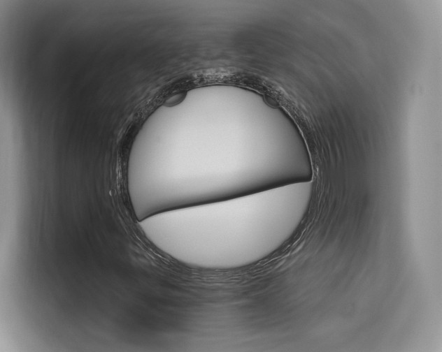 X0000114731299200910211054