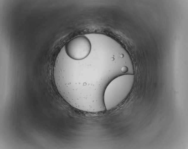 X0000114731302200910211054