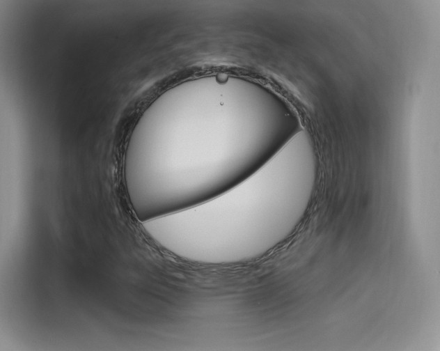 X0000114731303200910211054