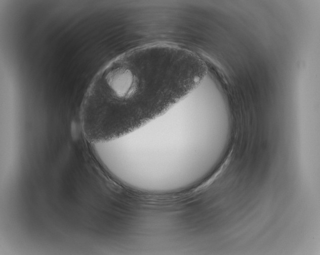 X0000114731305200910211055