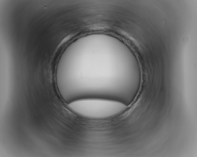 X0000114731306200910211055