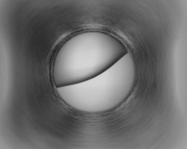 X0000114731307200910211055
