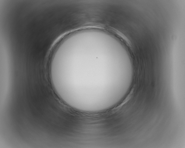 X0000114731310200910211055