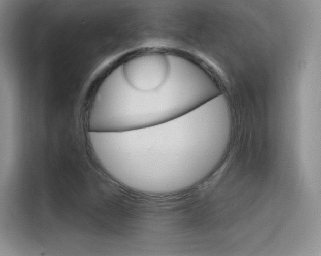 X0000114731311200910211055