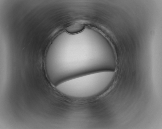 X0000114731313200910211055