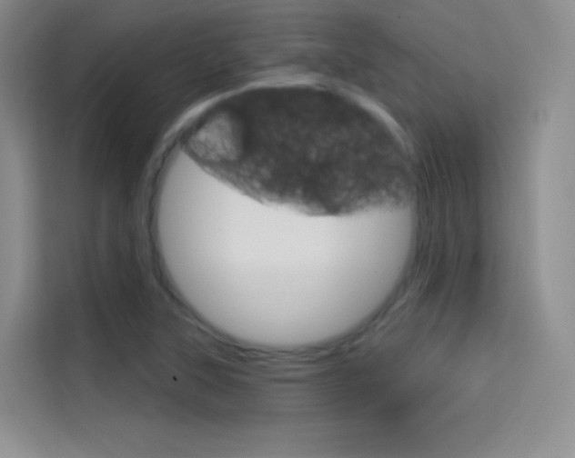 X0000114731315200910211055
