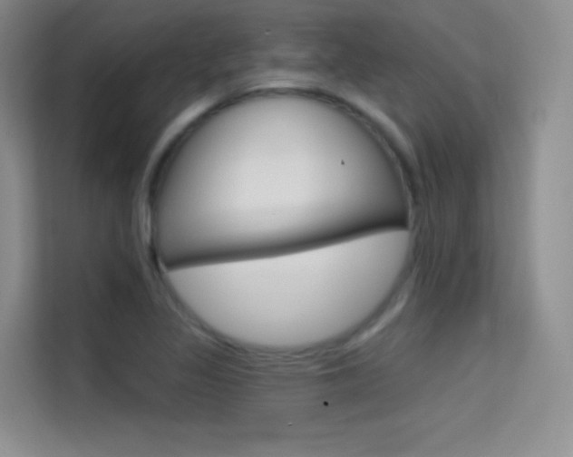 X0000114731317200910211055