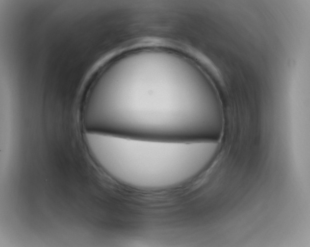 X0000114731318200910211055
