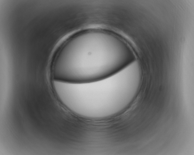 X0000114731319200910211055