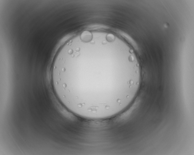 X0000114731322200910211055