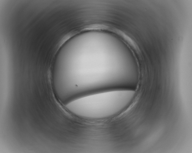 X0000114731329200910211055