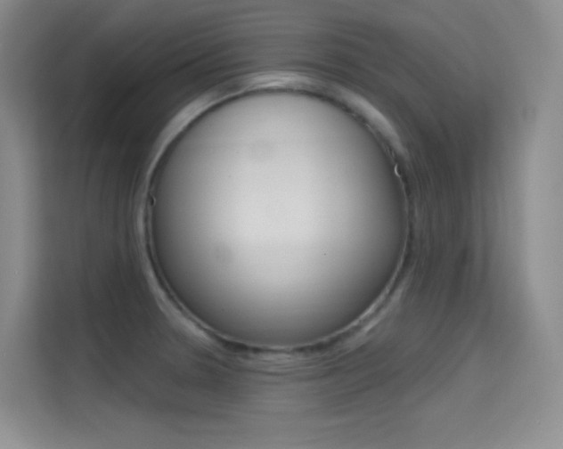 X0000114731330200910211055
