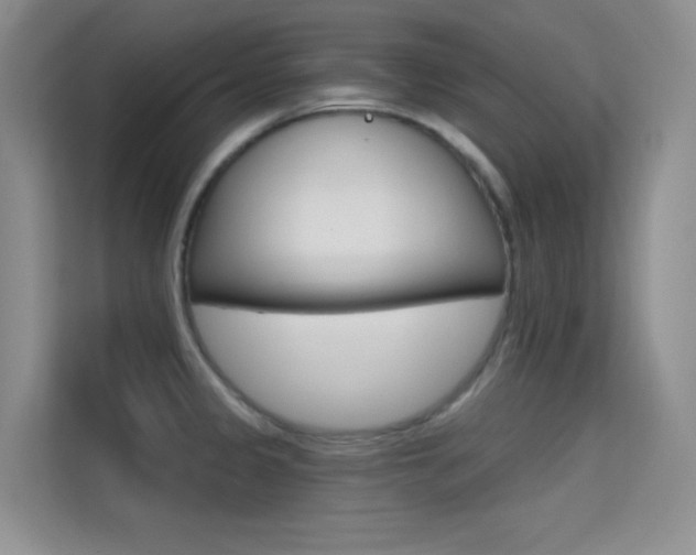 X0000114731333200910211055