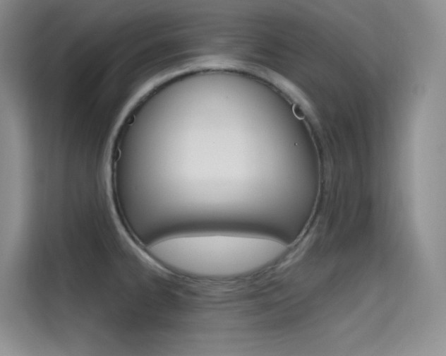 X0000114731334200910211055