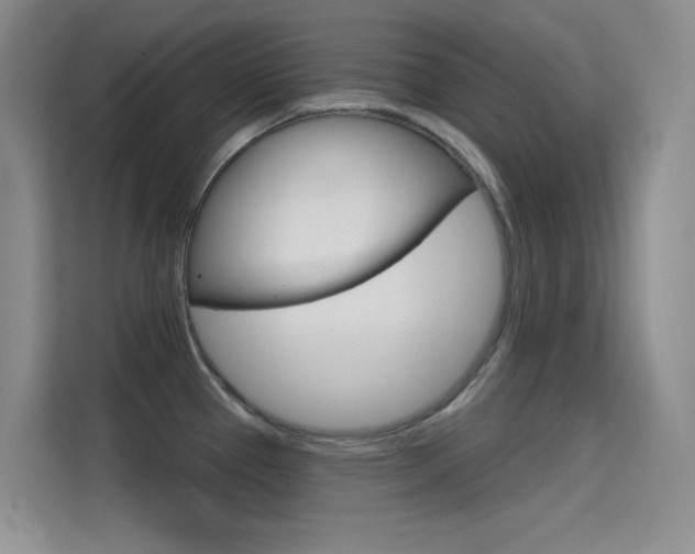 X0000114731337200910211055
