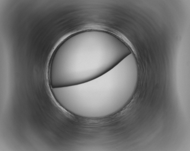 X0000114731339200910211055