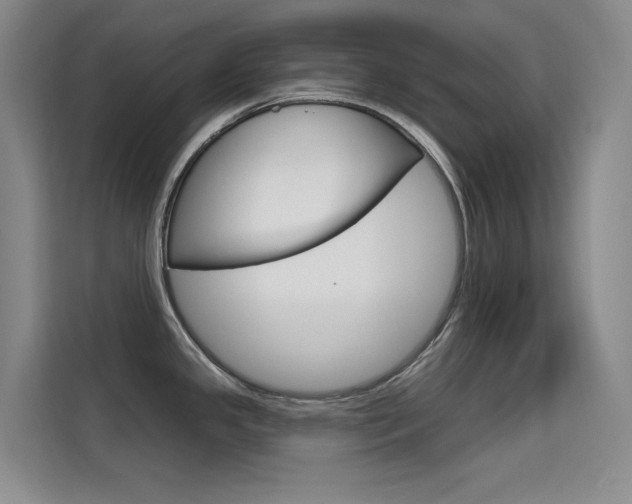 X0000114731341200910211055