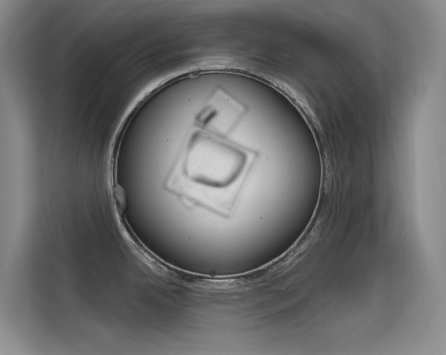 X0000114731342200910211055
