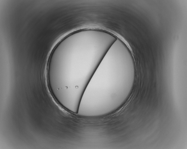 X0000114731343200910211055