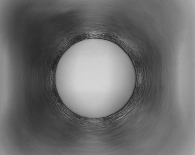 X0000114731346200910211054