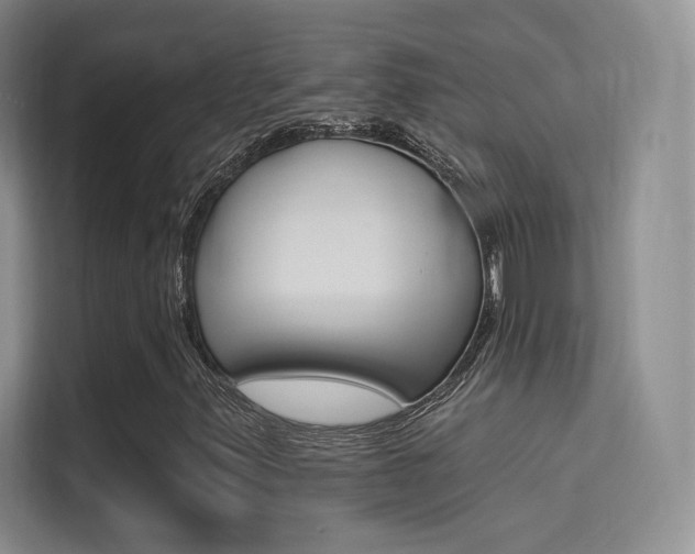 X0000114731347200910211054