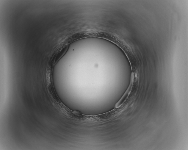 X0000114731348200910211054