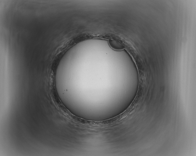 X0000114731349200910211054