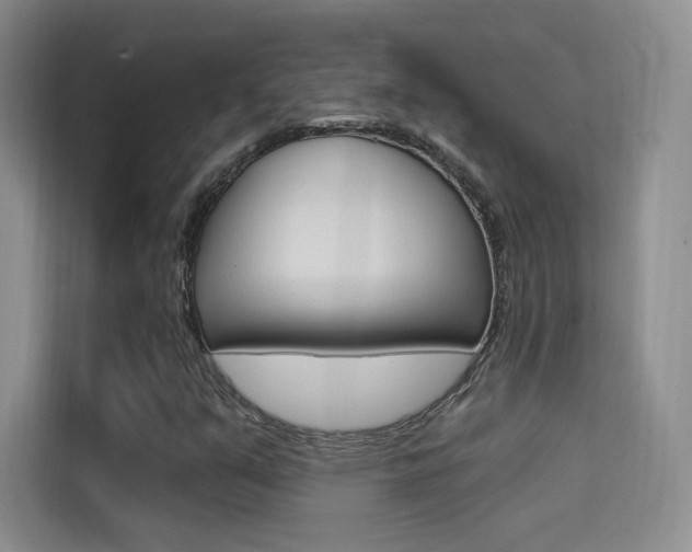 X0000114731351200910211054