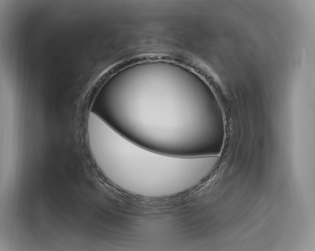X0000114731352200910211054