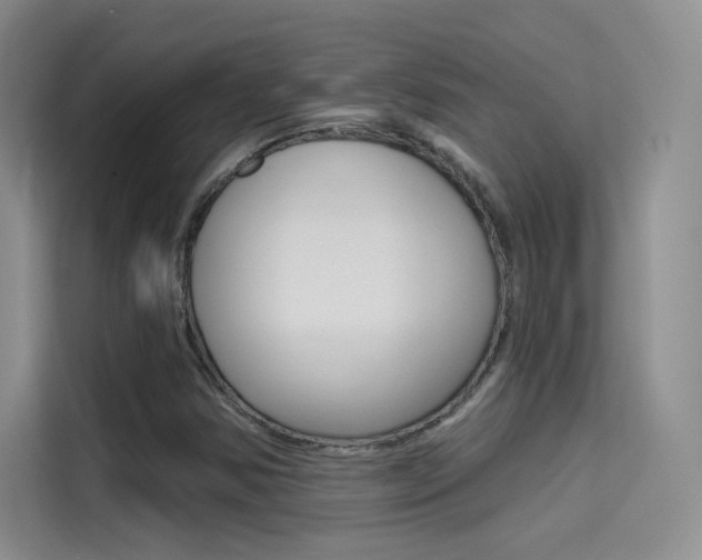 X0000114731354200910211054