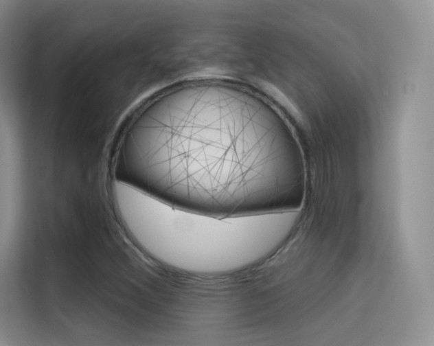 X0000114731356200910211054
