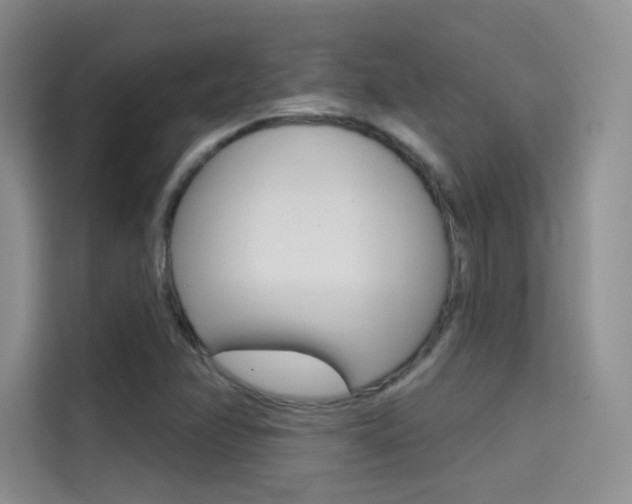 X0000114731358200910211054