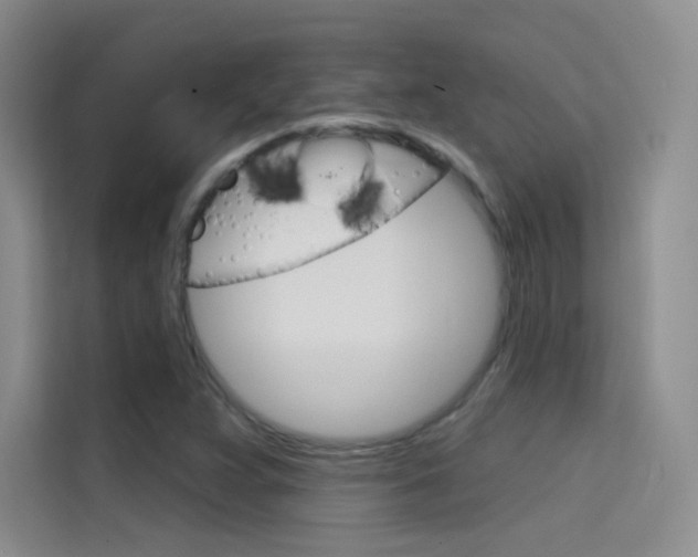 X0000114731359200910211054