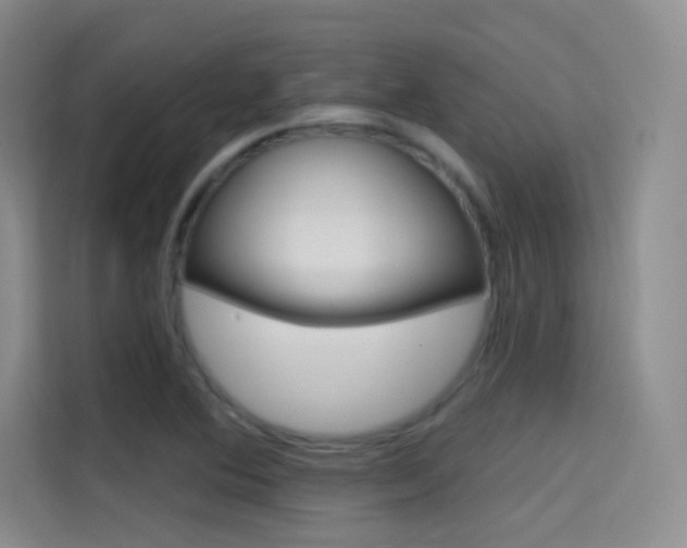 X0000114731364200910211054