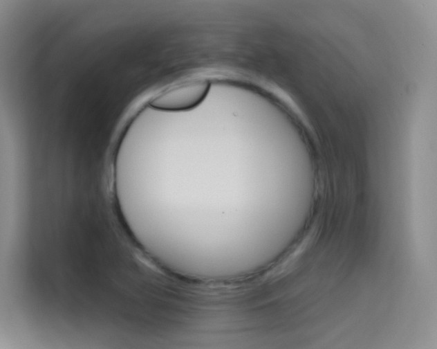 X0000114731366200910211054