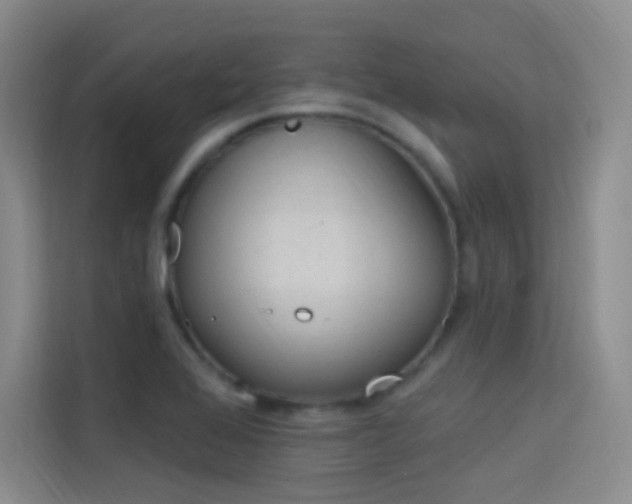 X0000114731368200910211054