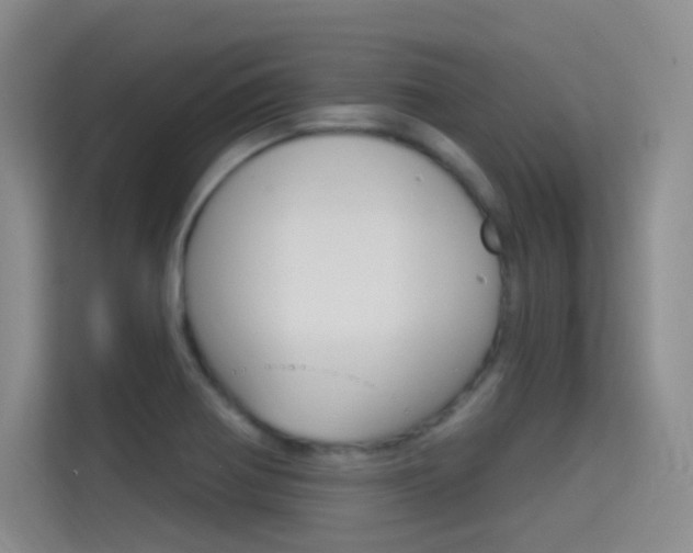 X0000114731370200910211054
