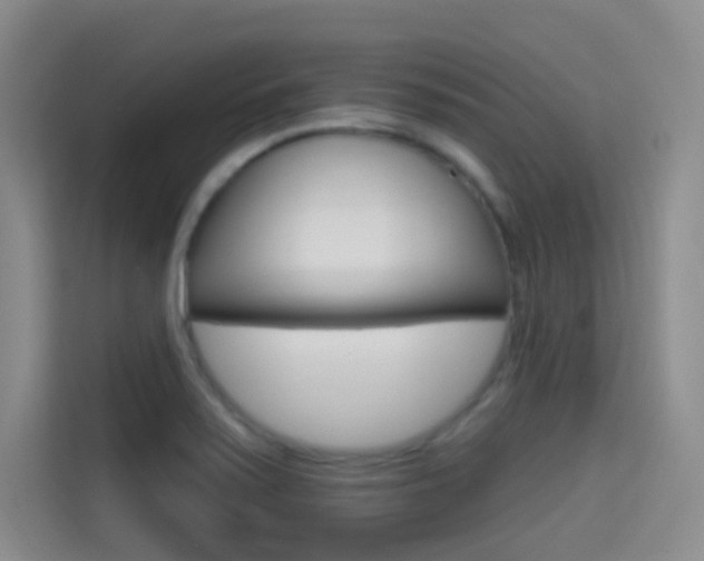 X0000114731371200910211054