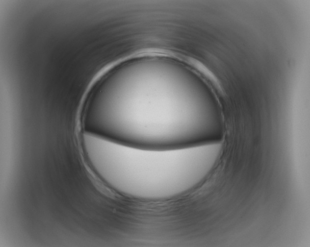 X0000114731372200910211054