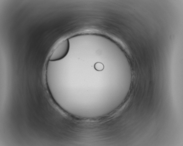 X0000114731374200910211054